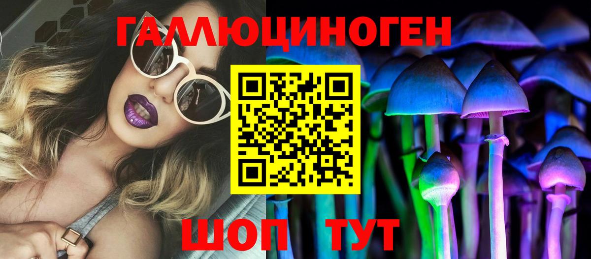 Галлюциногенные грибы мухоморы Сосновый Бор